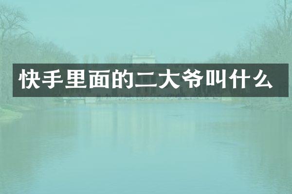 快手里面的二大爷叫什么