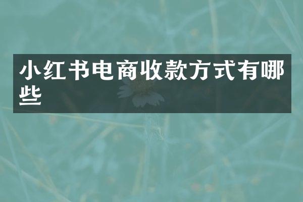 小红书电商收款方式有哪些