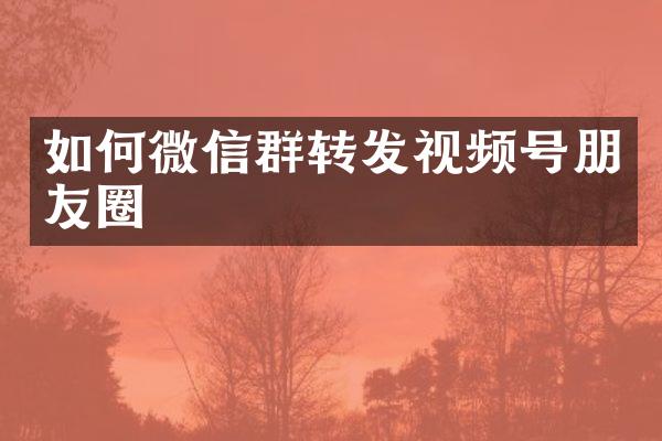 如何微信群转发视频号朋友圈