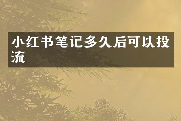 小红书笔记多久后可以投流