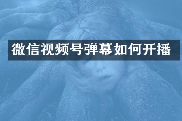 微信视频号弹幕如何开播