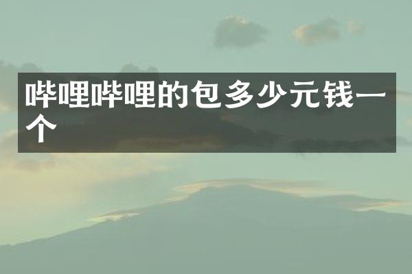 哔哩哔哩的包多少元钱一个