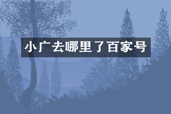 小广去哪里了百家号