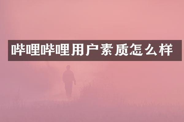 哔哩哔哩用户素质怎么样