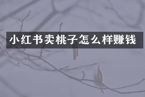 小红书卖桃子怎么样赚钱