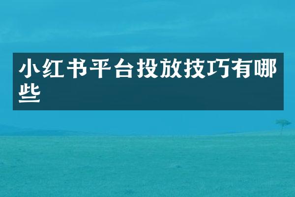小红书平台投放技巧有哪些