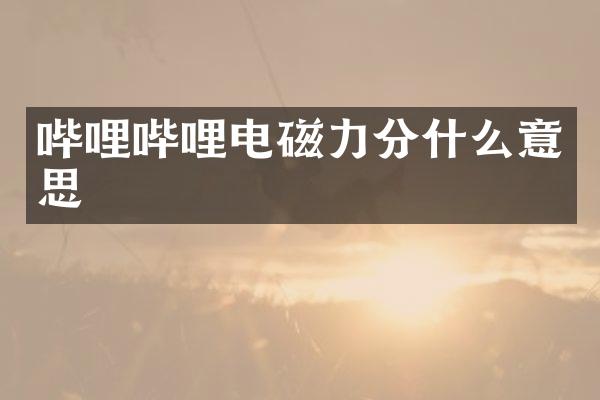 哔哩哔哩电磁力分什么意思
