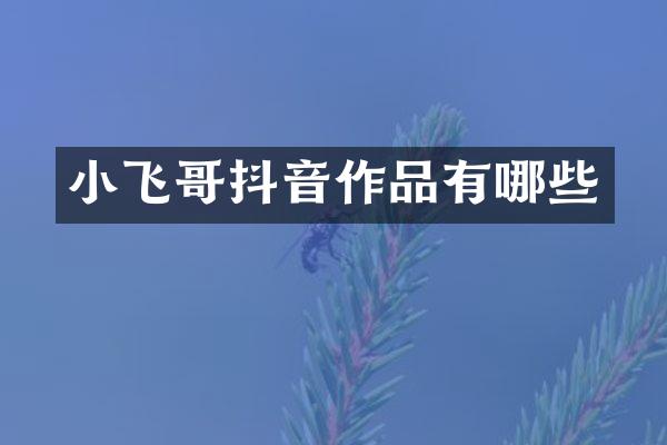 小飞哥抖音作品有哪些