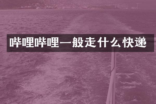 哔哩哔哩一般走什么快递