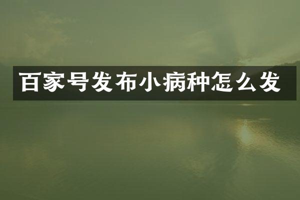 百家号发布小病种怎么发