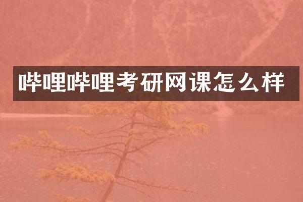 哔哩哔哩考研网课怎么样