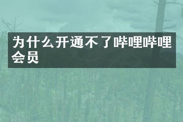 为什么开通不了哔哩哔哩会员