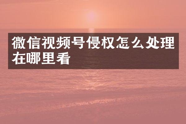 微信视频号侵权怎么处理在哪里看