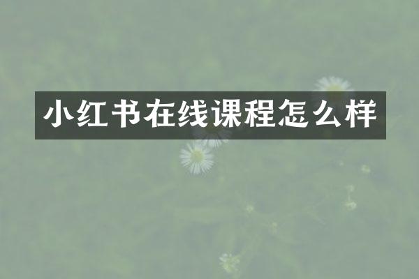 小红书在线课程怎么样