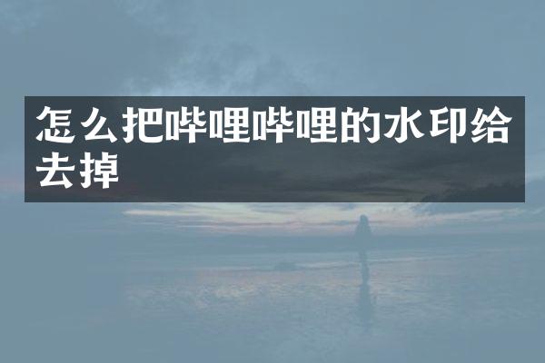 怎么把哔哩哔哩的水印给去掉