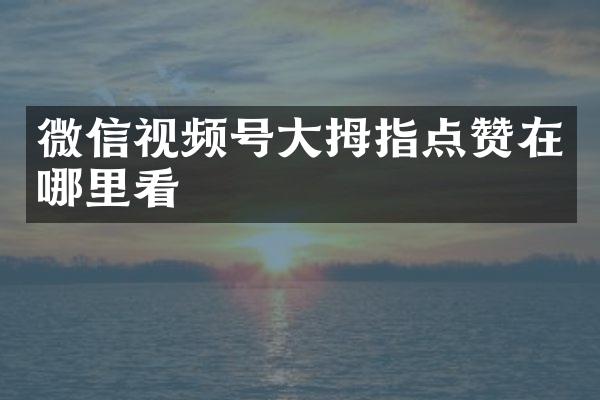 微信视频号大拇指点赞在哪里看