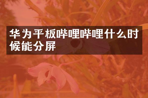 华为平板哔哩哔哩什么时候能分屏