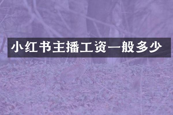 小红书主播工资一般多少