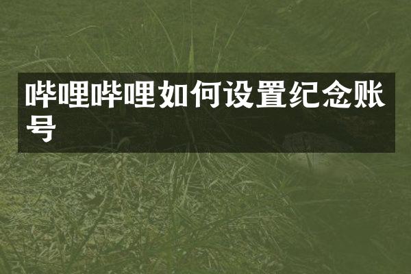 哔哩哔哩如何设置纪念账号
