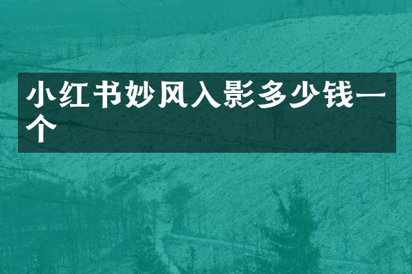 小红书妙风入影多少钱一个