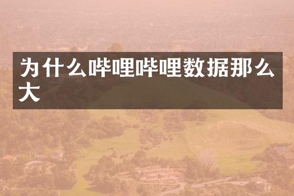 为什么哔哩哔哩数据那么大