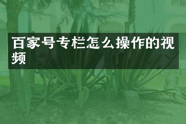 百家号专栏怎么操作的视频