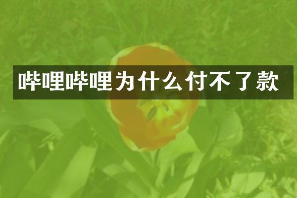 哔哩哔哩为什么付不了款