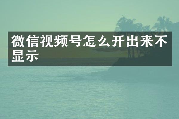 微信视频号怎么开出来不显示