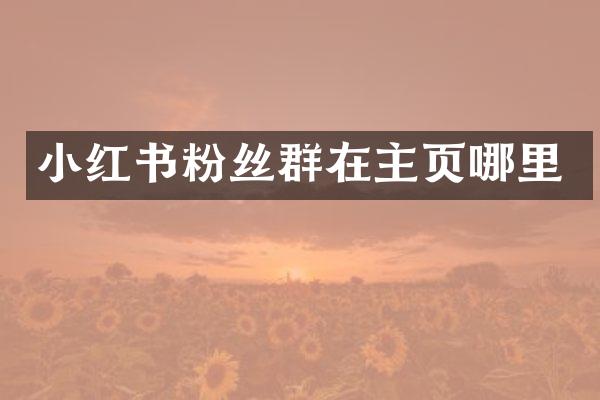 小红书粉丝群在主页哪里