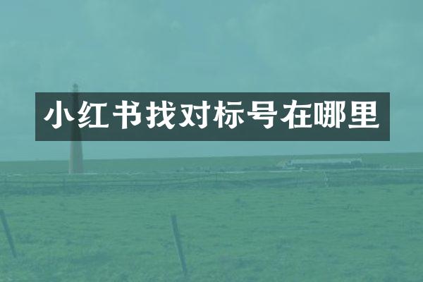 小红书找对标号在哪里