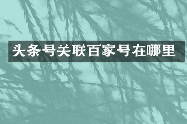 头条号关联百家号在哪里