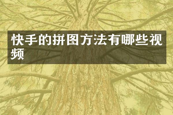 快手的拼图方法有哪些视频