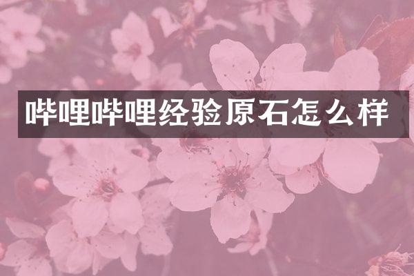 哔哩哔哩经验原石怎么样