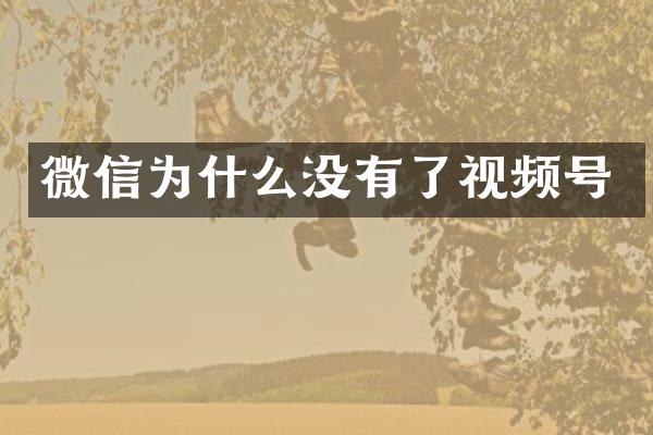 微信为什么没有了视频号