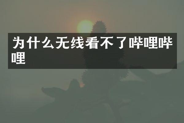 为什么无线看不了哔哩哔哩