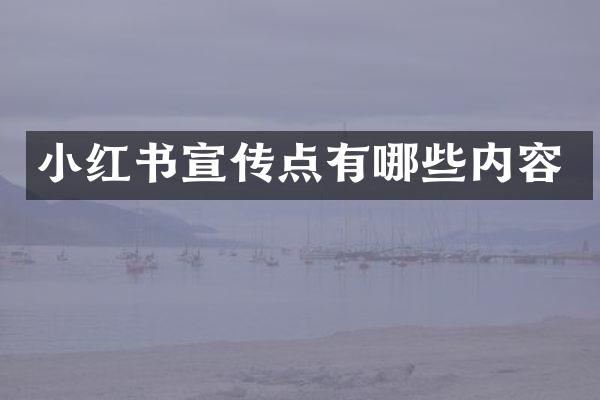 小红书宣传点有哪些内容