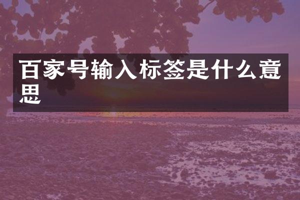 百家号输入标签是什么意思