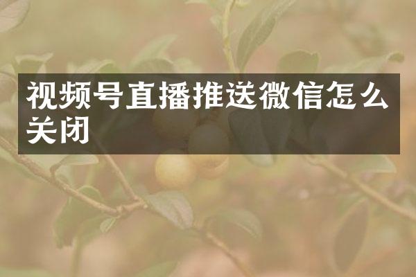 视频号直播推送微信怎么关闭