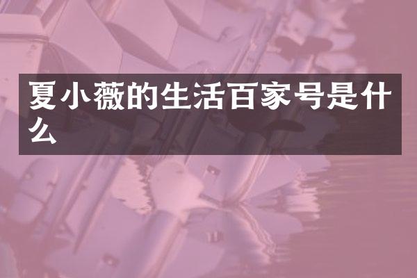 夏小薇的生活百家号是什么