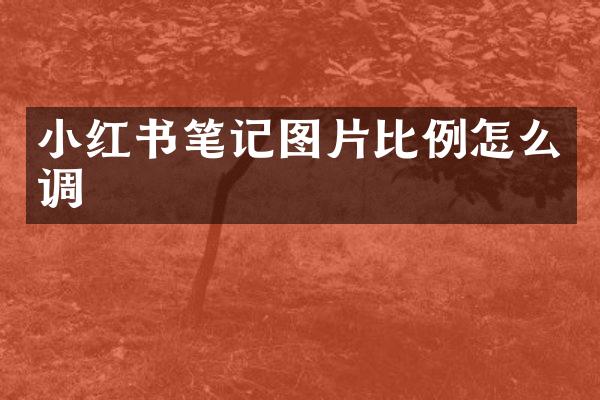 小红书笔记图片比例怎么调