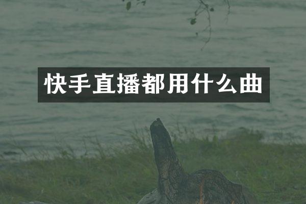 快手直播都用什么曲
