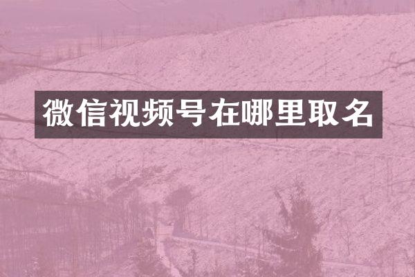 微信视频号在哪里取名