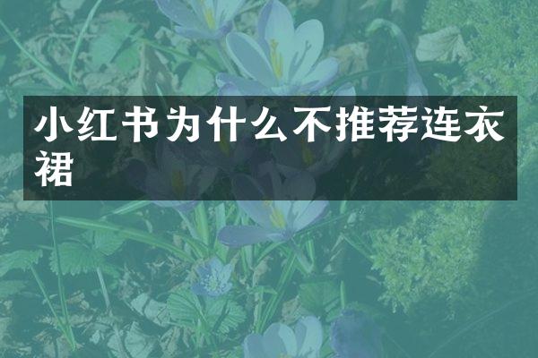 小红书为什么不推荐连衣裙