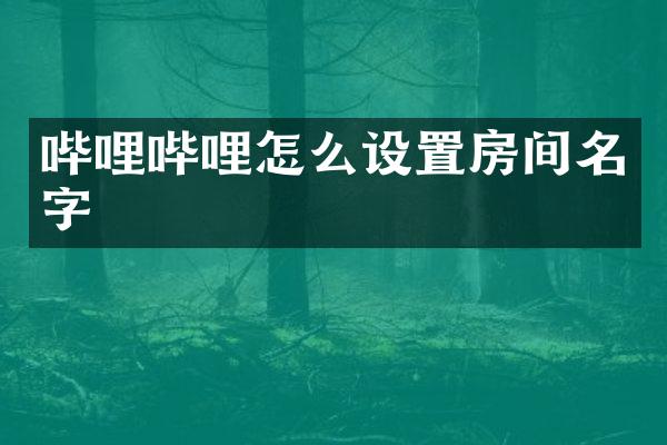 哔哩哔哩怎么设置房间名字