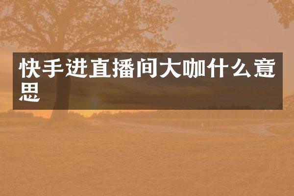 快手进直播间大咖什么意思