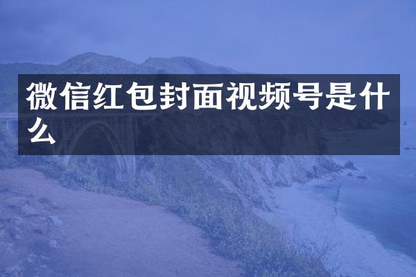 微信红包封面视频号是什么