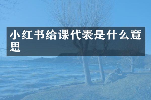 小红书给课代表是什么意思