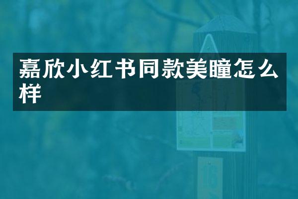 嘉欣小红书同款美瞳怎么样