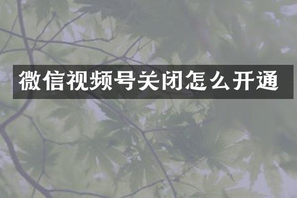 微信视频号关闭怎么开通