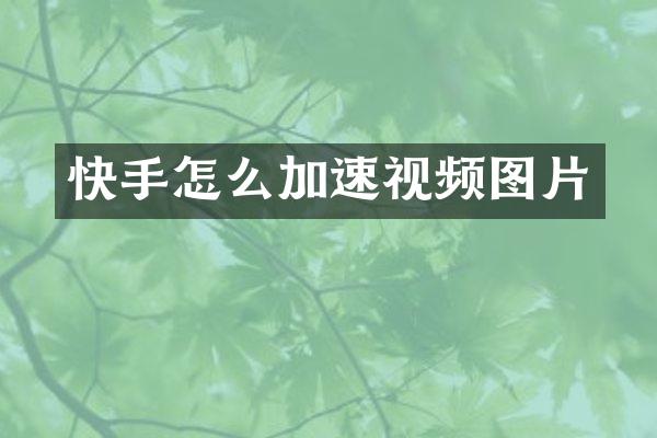快手怎么加速视频图片